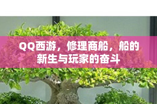 船的新生与玩家的奋斗图片