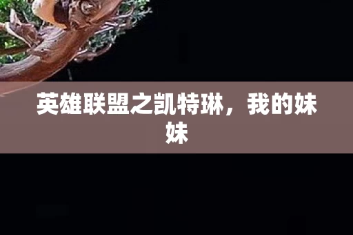 英雄联盟之凯特琳图片