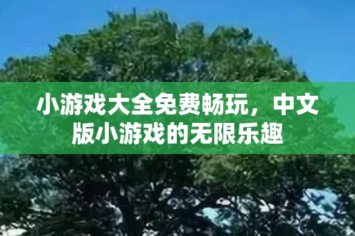 中文版小游戏的无限乐趣图片