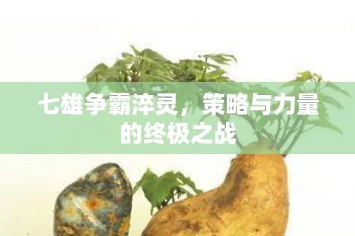 策略与力量的终极之战图片