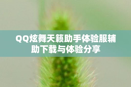 QQ炫舞天籁助手体验服辅助下载与体验分享图片