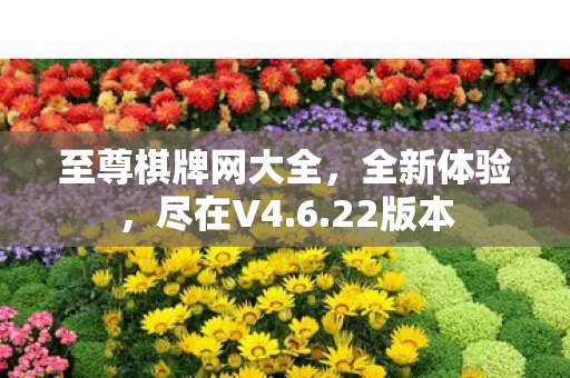 至尊棋牌网大全图片