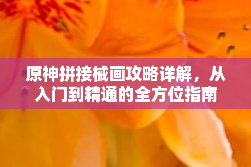 从入门到精通的全方位指南图片