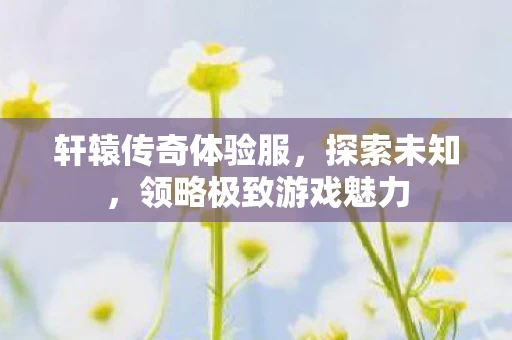 领略极致游戏魅力图片