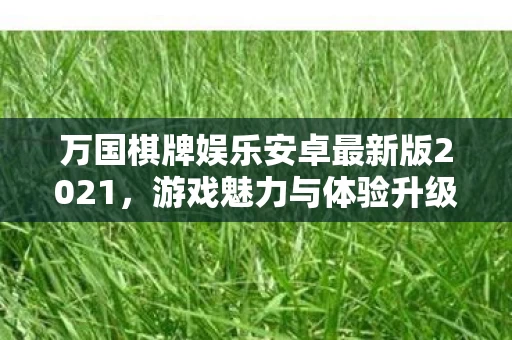 万国棋牌娱乐安卓最新版2021图片