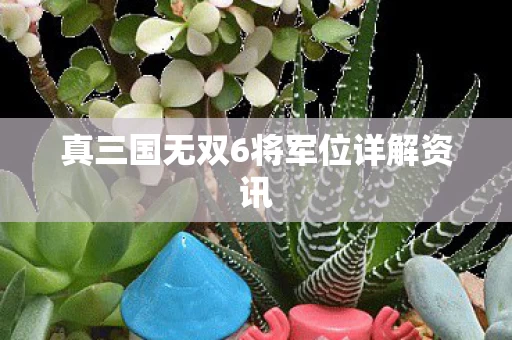 真三国无双6将军位详解资讯图片