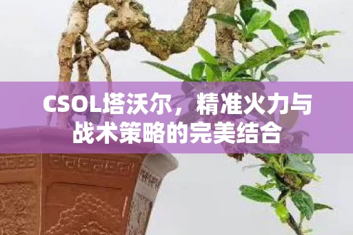 精准火力与战术策略的完美结合图片