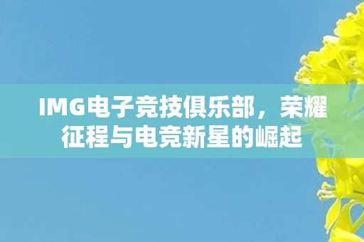 荣耀征程与电竞新星的崛起图片
