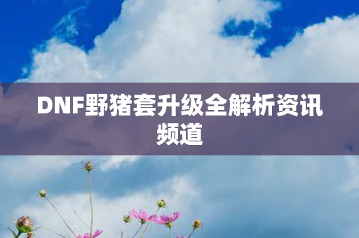 DNF野猪套升级全解析资讯频道图片