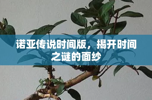 揭开时间之谜的面纱图片