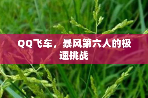 暴风第六人的极速挑战图片