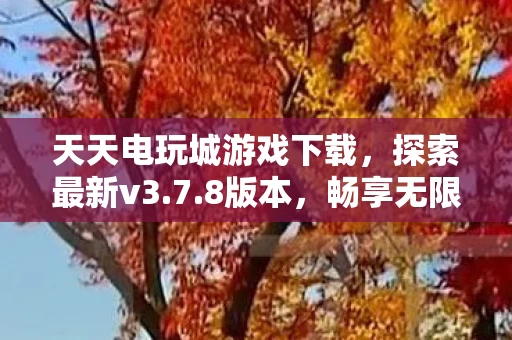 天天电玩城游戏下载图片