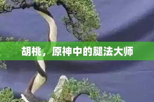 原神中的腿法大师图片