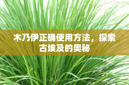 木乃伊正确使用方法图片
