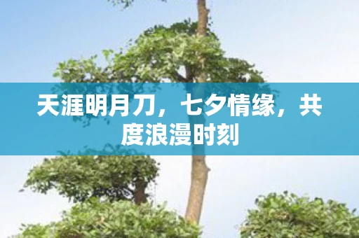 共度浪漫时刻图片