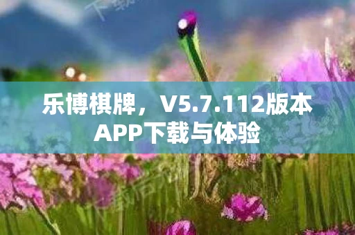 112版本APP下载与体验图片