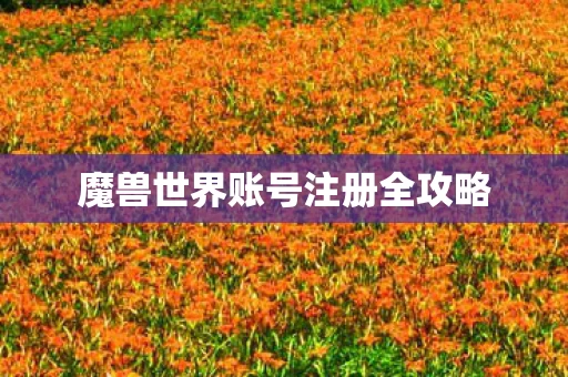魔兽世界账号注册全攻略图片