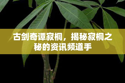 揭秘寂桐之秘的资讯频道手图片