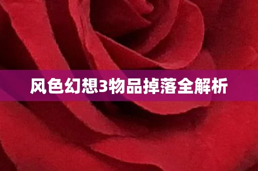 风色幻想3物品掉落全解析图片