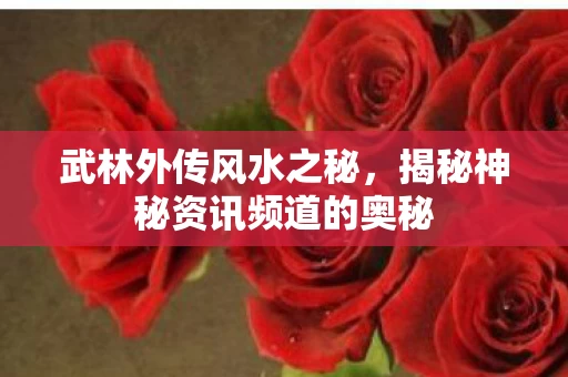 揭秘神秘资讯频道的奥秘图片