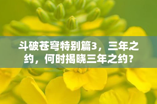 斗破苍穹特别篇3图片