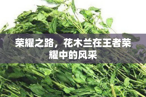 花木兰在王者荣耀中的风采图片