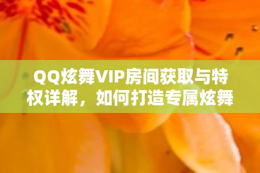 QQ炫舞VIP房间获取与特权详解图片