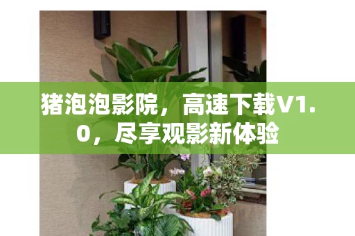 尽享观影新体验图片