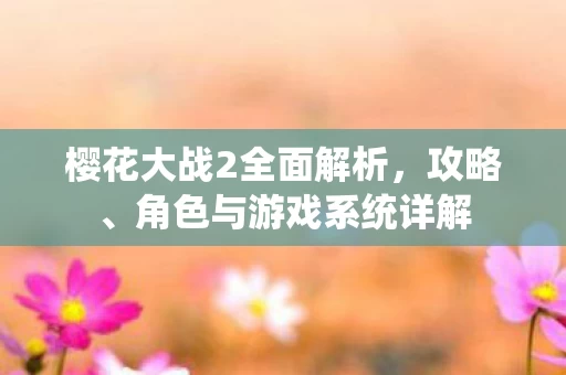 樱花大战2全面解析图片