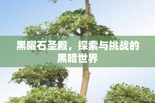 探索与挑战的黑暗世界图片