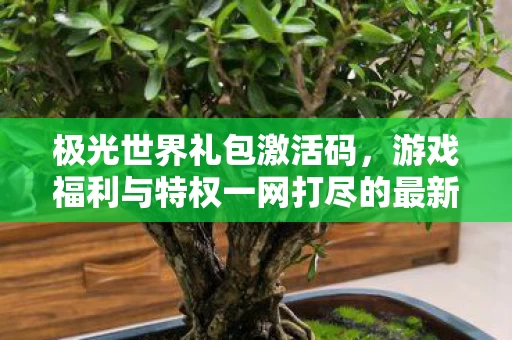 游戏福利与特权一网打尽的最新资讯图片