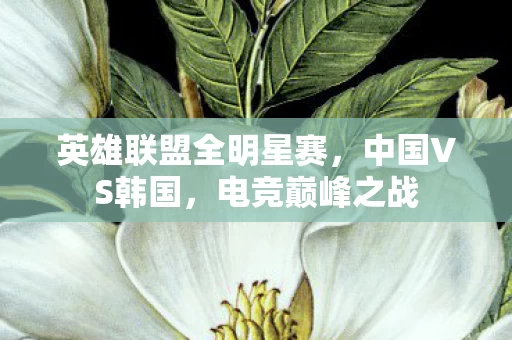英雄联盟全明星赛图片