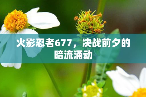 决战前夕的暗流涌动图片