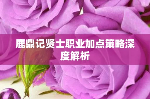 鹿鼎记贤士职业加点策略深度解析图片