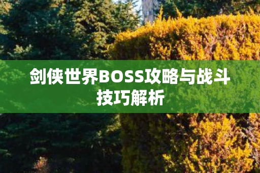 剑侠世界BOSS攻略与战斗技巧解析图片