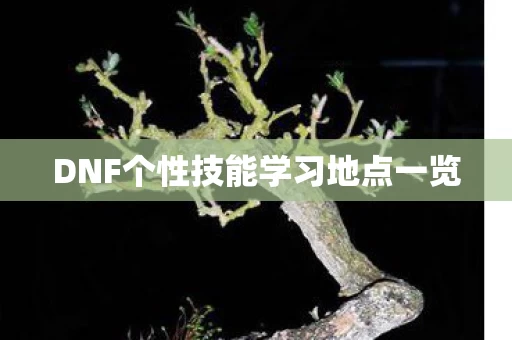 DNF个性技能学习地点一览图片