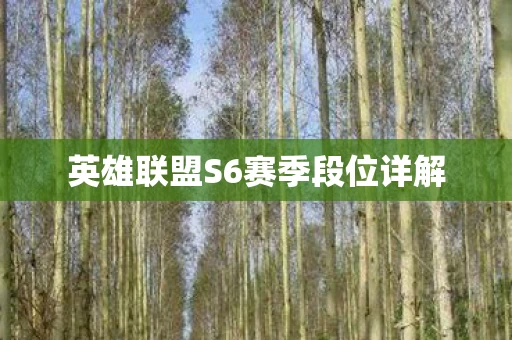 英雄联盟S6赛季段位详解图片