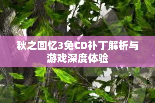 秋之回忆3免CD补丁解析与游戏深度体验图片