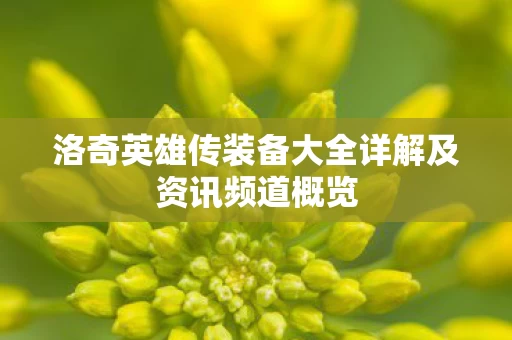 洛奇英雄传装备大全详解及资讯频道概览图片
