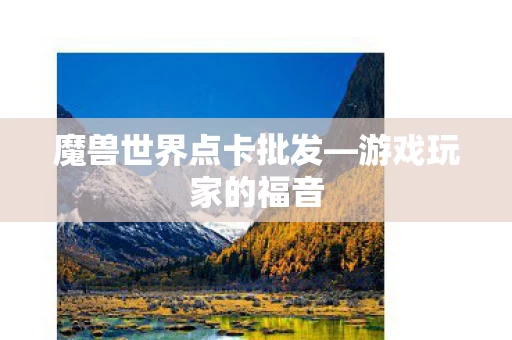 魔兽世界点卡批发图片