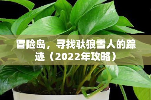 寻找驮狼雪人的踪迹图片
