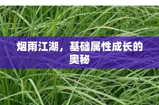 基础属性成长的奥秘图片