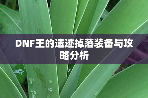 DNF王的遗迹掉落装备与攻略分析图片