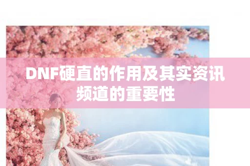 DNF硬直的作用及其实资讯频道的重要性图片