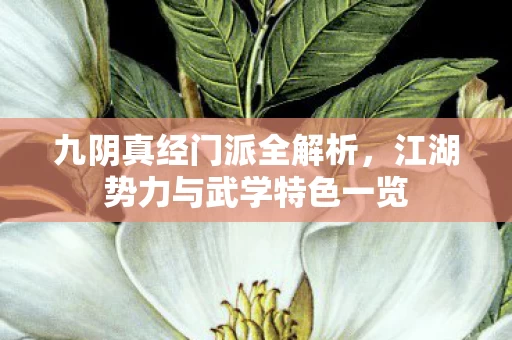 江湖势力与武学特色一览图片