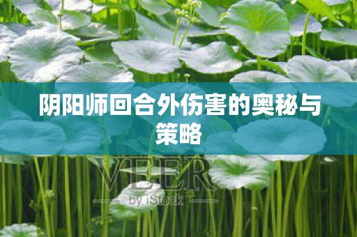 阴阳师回合外伤害的奥秘与策略图片