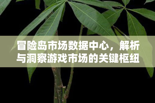解析与洞察游戏市场的关键枢纽图片