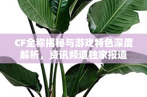 CF全称揭秘与游戏特色深度解析图片