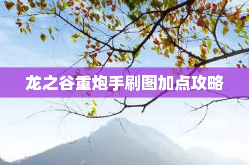 龙之谷重炮手刷图加点攻略图片