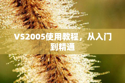 VS2005使用教程图片